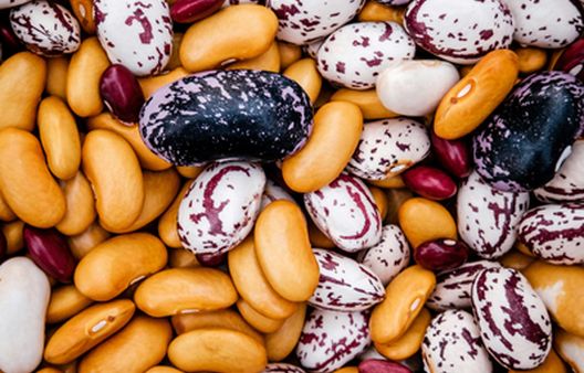 Close up of various colourful beans